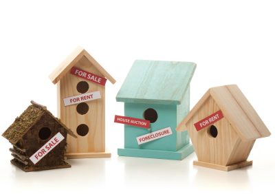 Beyond the Numbers: Owning versus Renting