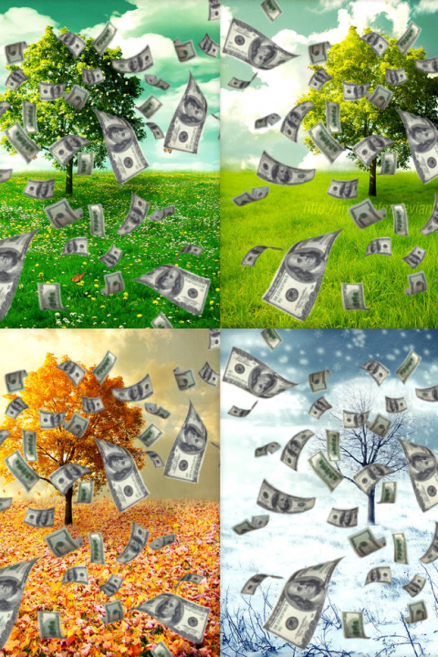 Financial Seasons