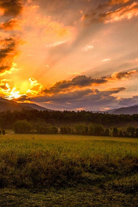 7-11-20 – A STROLL THROUGH THE SMOKY MOUNTAINS