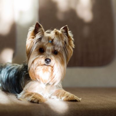 1-30-21 – THE ASPEN EFFECT